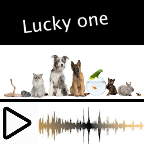 Lucky One - Royalty Free Music